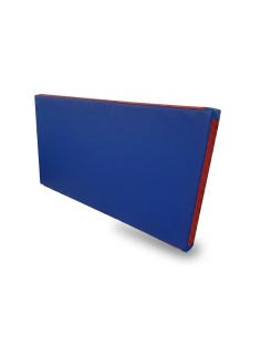 Gimnastikos čiužinys  (200x100x10cm)
