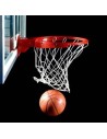 Basketball hoops